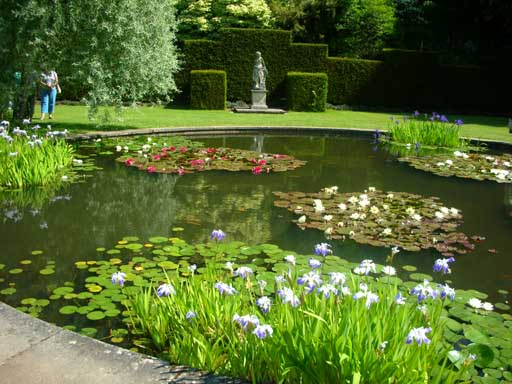 Knightshayes Court