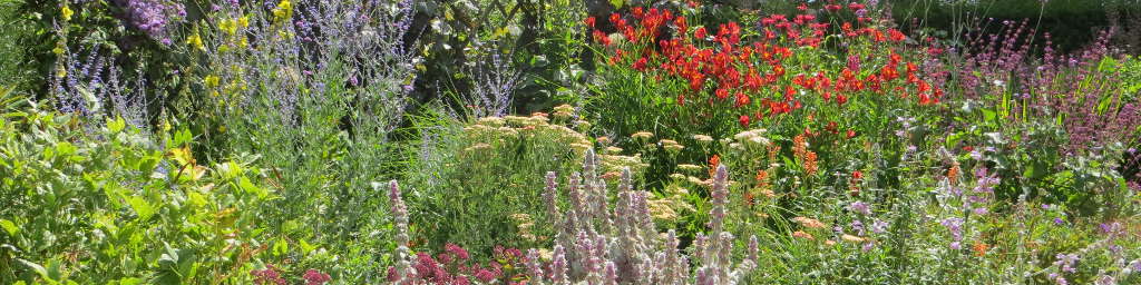 Pershore Perennial Garden